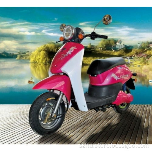 Electric Motorcycle with 800w Brushless Motor Lead-acid Battery